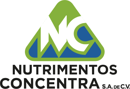 Cliente 11