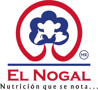 Cliente 9